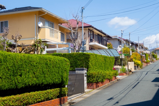 新築戸建てが売れない理由とは?2025年市場動向と購入のポイント